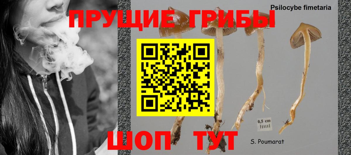 Галлюциногенные грибы MAGIC MUSHROOMS Карпинск