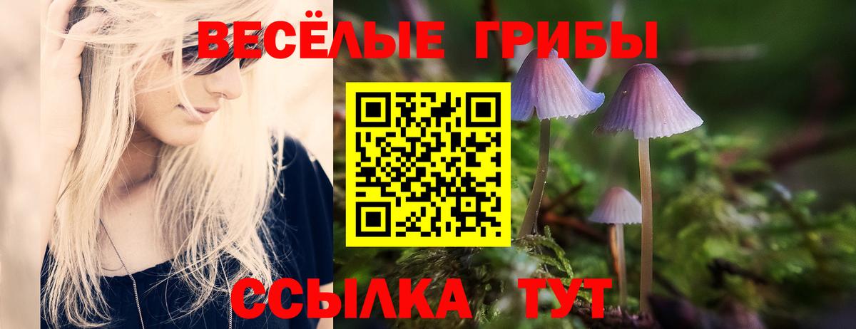 Карпинск  Галлюциногенные грибы Cubensis  Галлюциногенные грибы MAGIC MUSHROOMS  Вход с VPN 